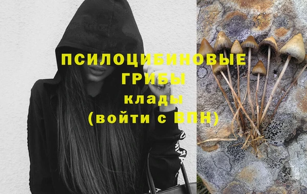 круглые Аркадак