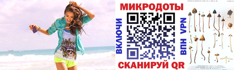 даркнет формула Кирово-Чепецк Псилоцибиновые грибы MAGIC MUSHROOMS наркотики